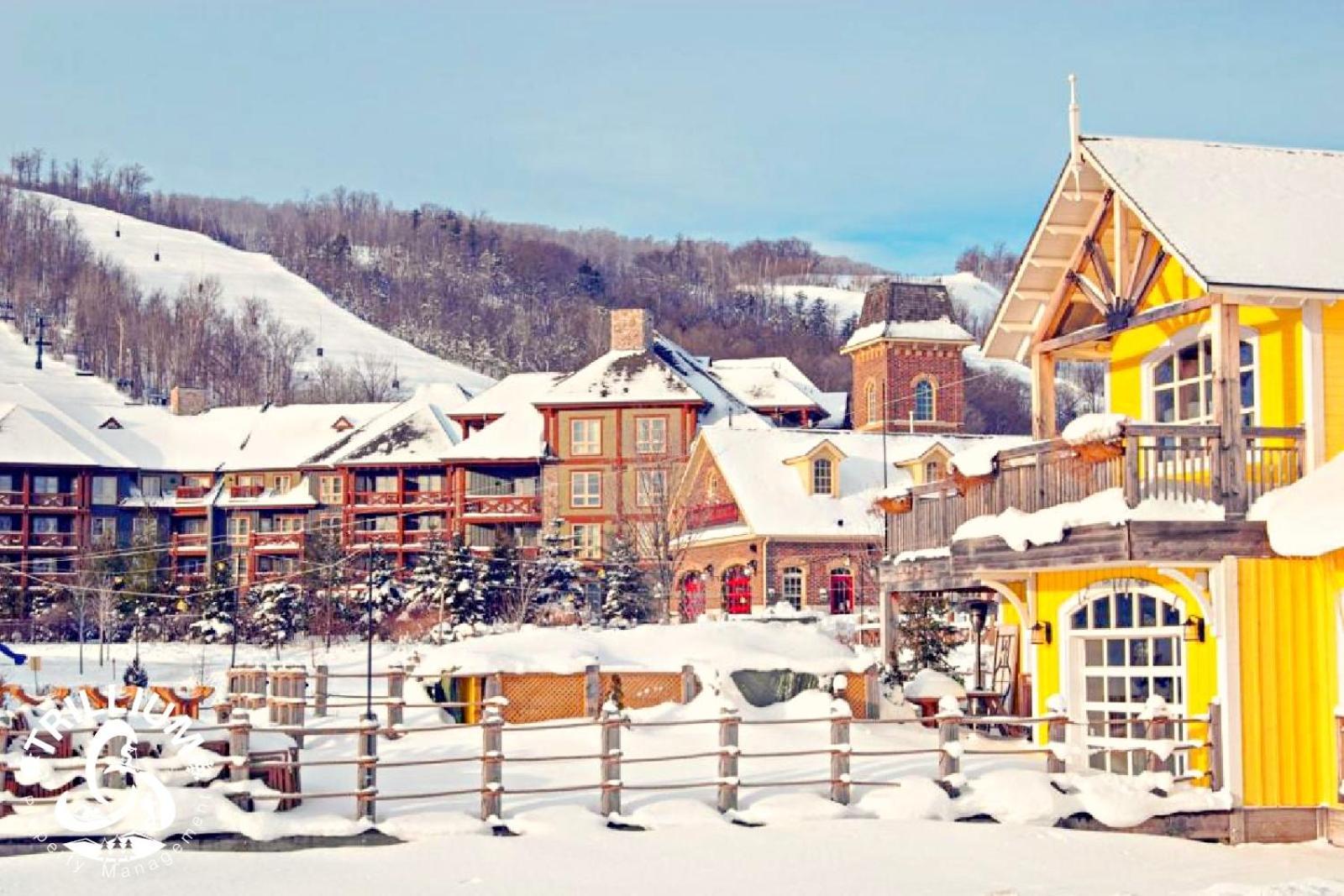 Blue Mountain, Collingwood - Loft Condo, Sleeps 4 Blue Mountains Exterior photo